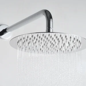 Conjunto de ducha empotrado monomando serie Olimpo de Imex, detalle del rociador en cromo